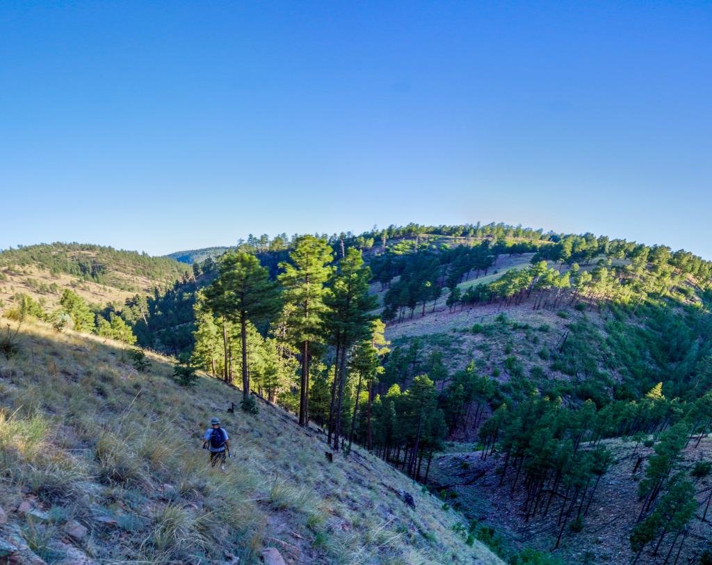 pano-7_4aedd1adfabf0f9153e0052ab0e614f04405f44a.jpg