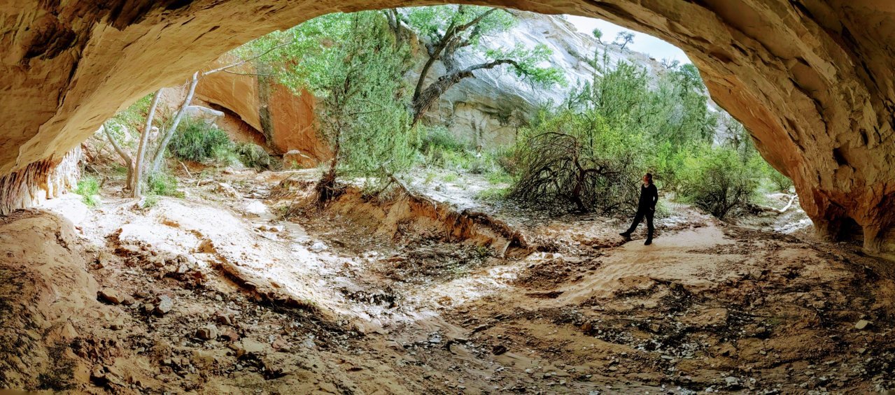 PANO_20190519_082123.vr~2.jpg