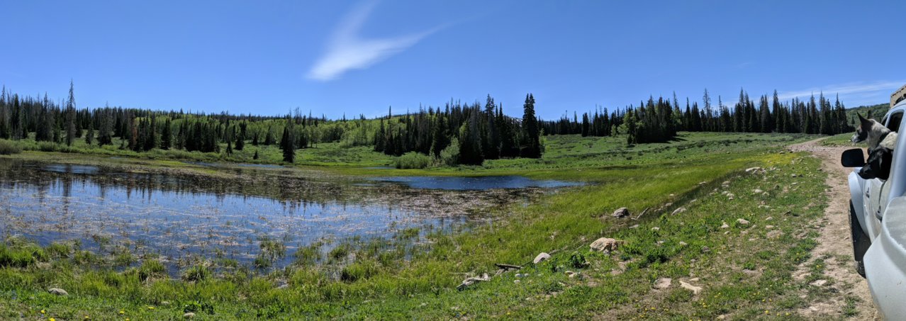 PANO_20190628_154144.jpg