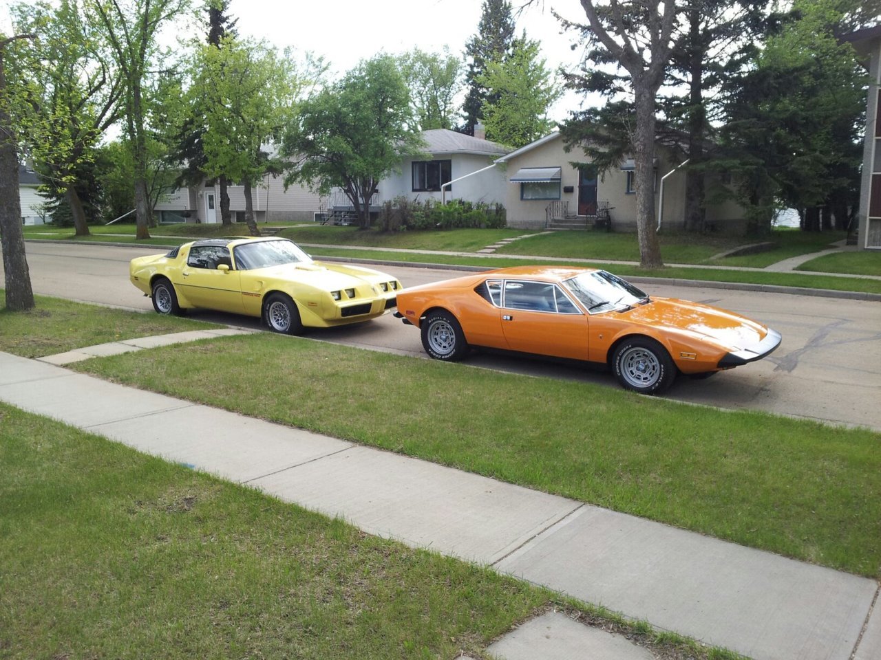 Pantera_01.jpg