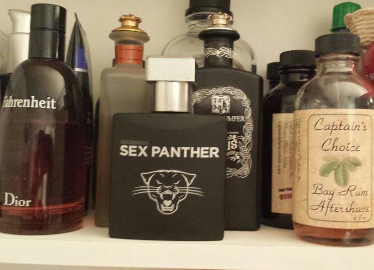 Panther.jpg