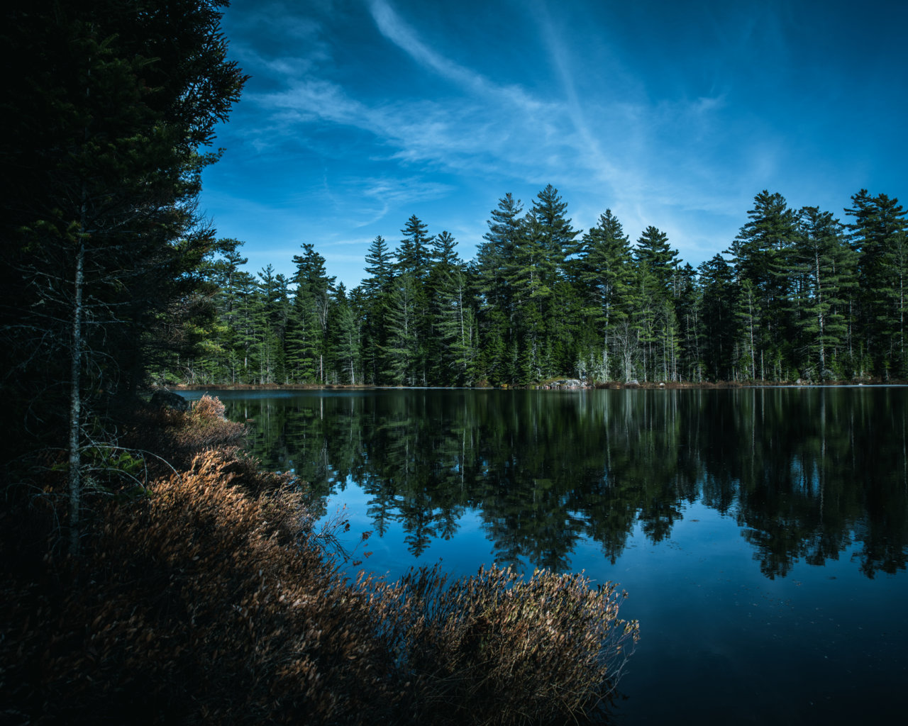 Panther Pond-019.jpg