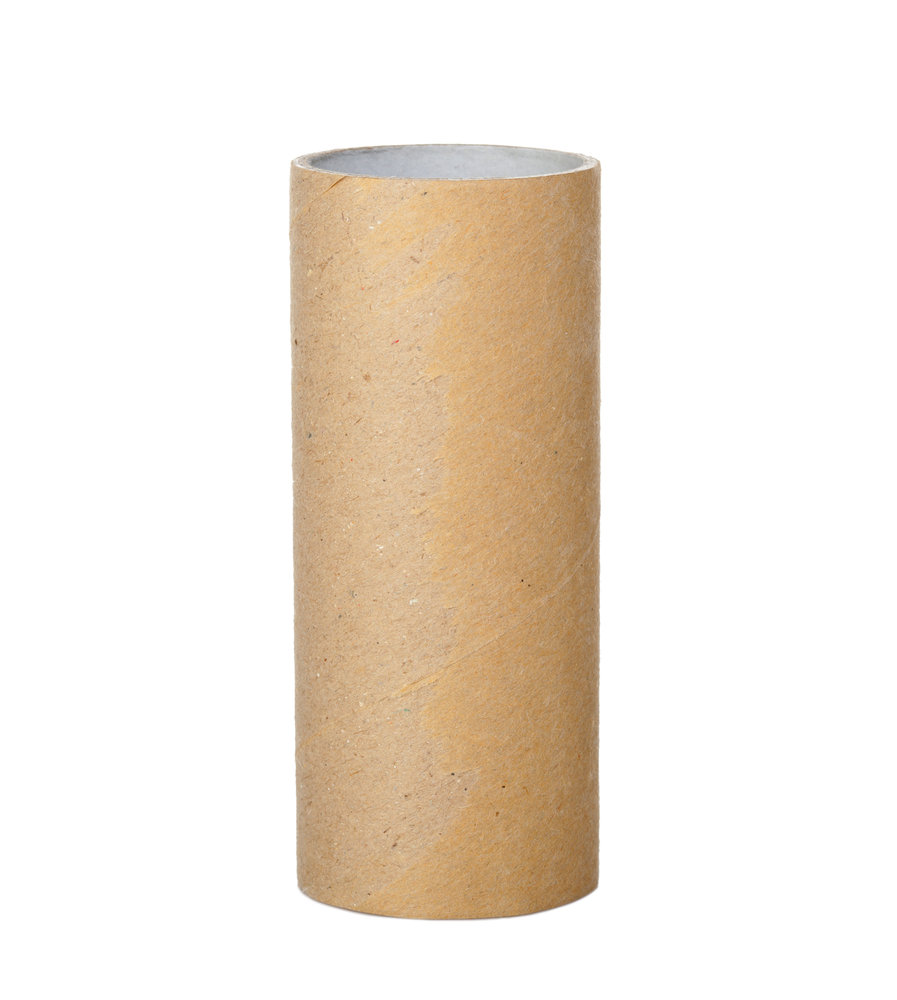 paper-towel-or-toilet-paper-tube.jpg