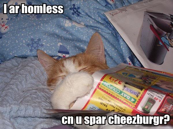 papercat_559bff2658145f978795602699578790811d4c81.jpg