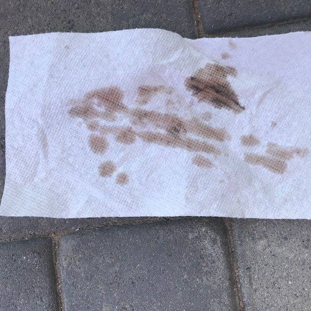 Papertowel Test View 2.jpg