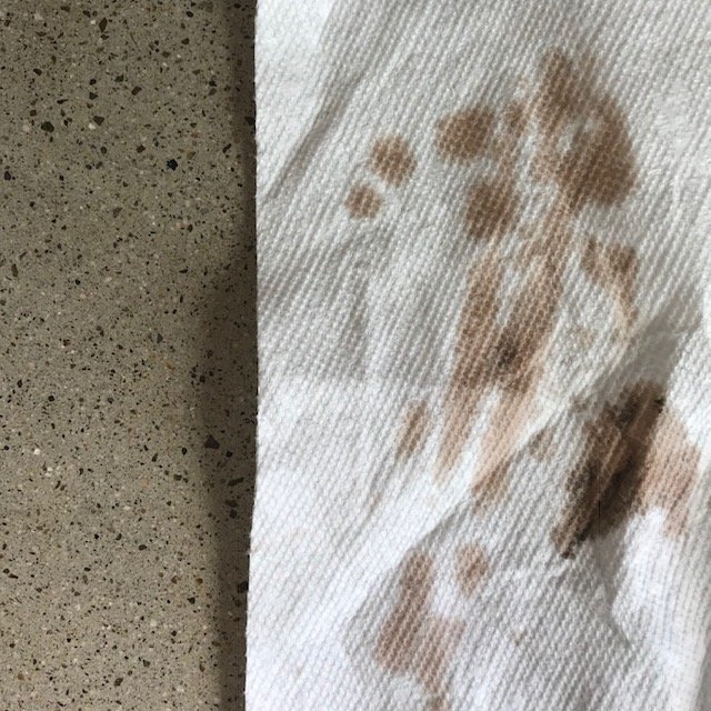 papertowel test view3.jpg