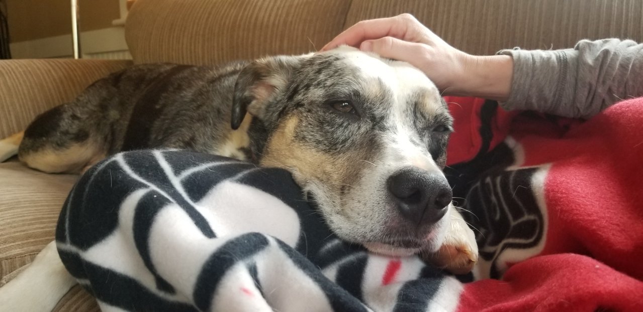 parker cuddles.jpg
