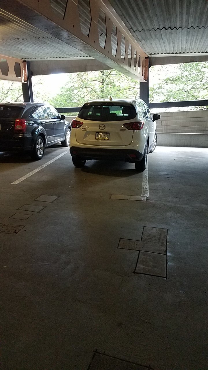 parking81.jpg