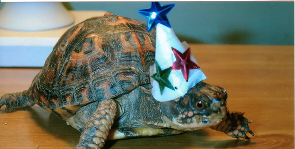 Party_Hat_copy_80fa1d5235032418895a54df18360e12443cc682.jpg