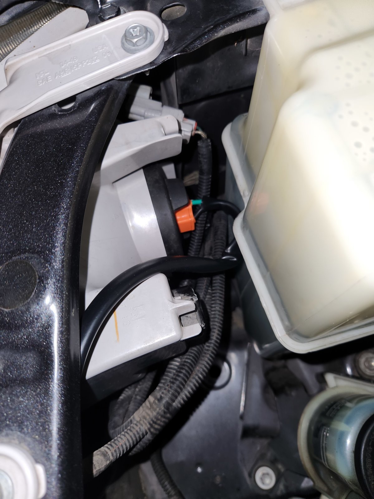 Passenger Bulb Plug.jpg