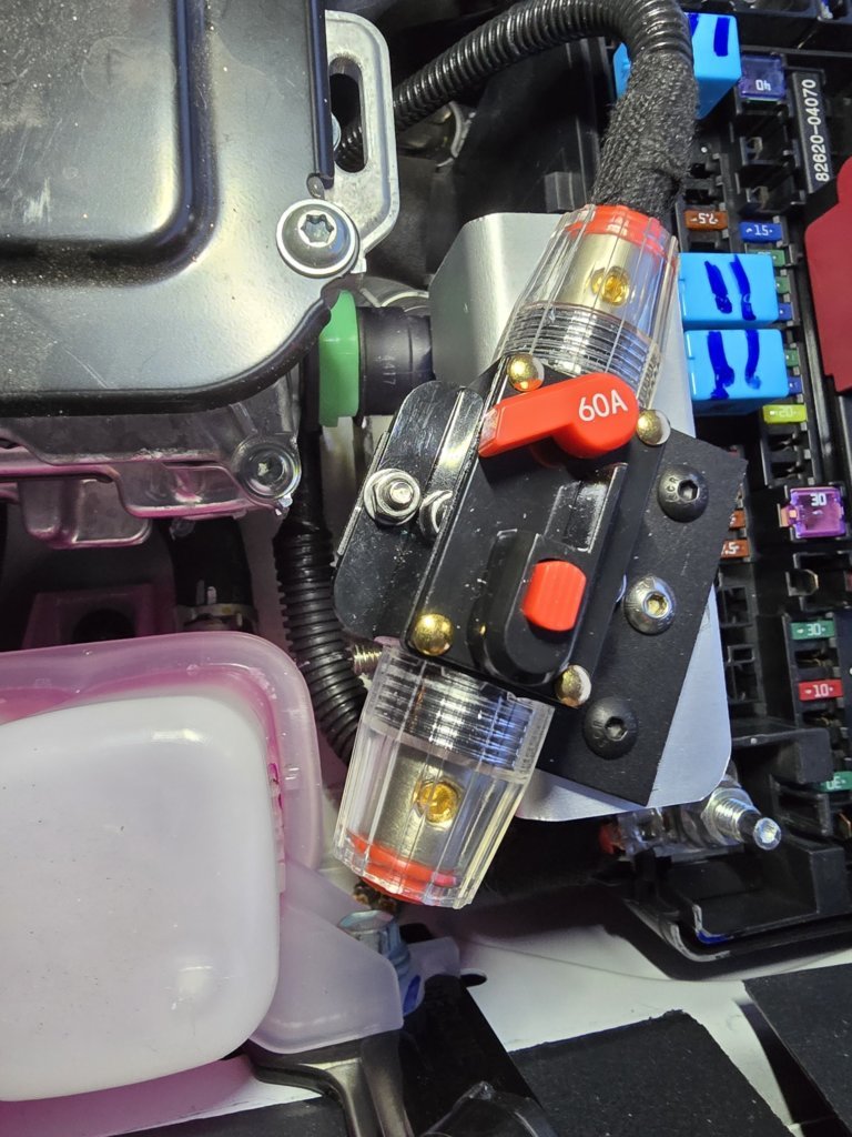 Passenger Fuse Area 3.jpg