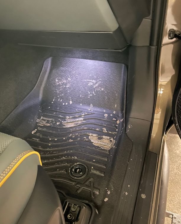 Passenger In 2.jpg