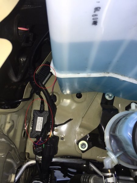 passenger side.jpg
