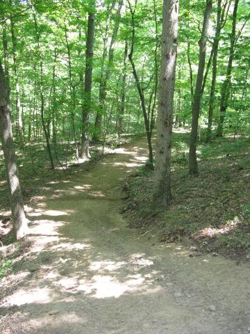 path1-1_6ef01475fcef4c61d2515f3611c0970d6045626f.jpg