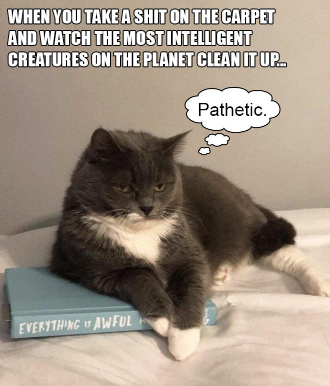 pathetic.jpg