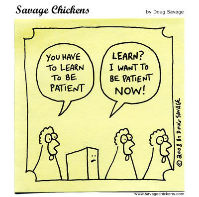 Patience-Chickens_893ff329b56683719e57cada6d7881dddb45d84e.jpg