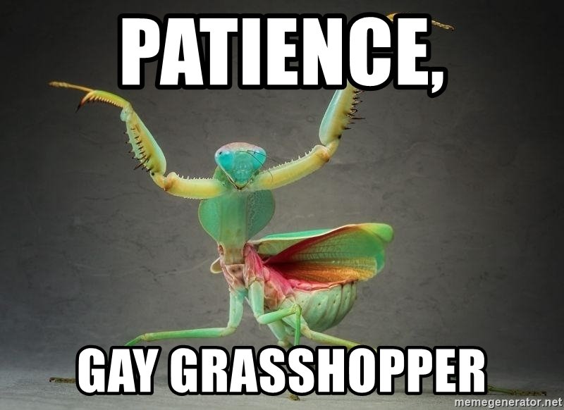 patience-gay-grasshopper.jpg