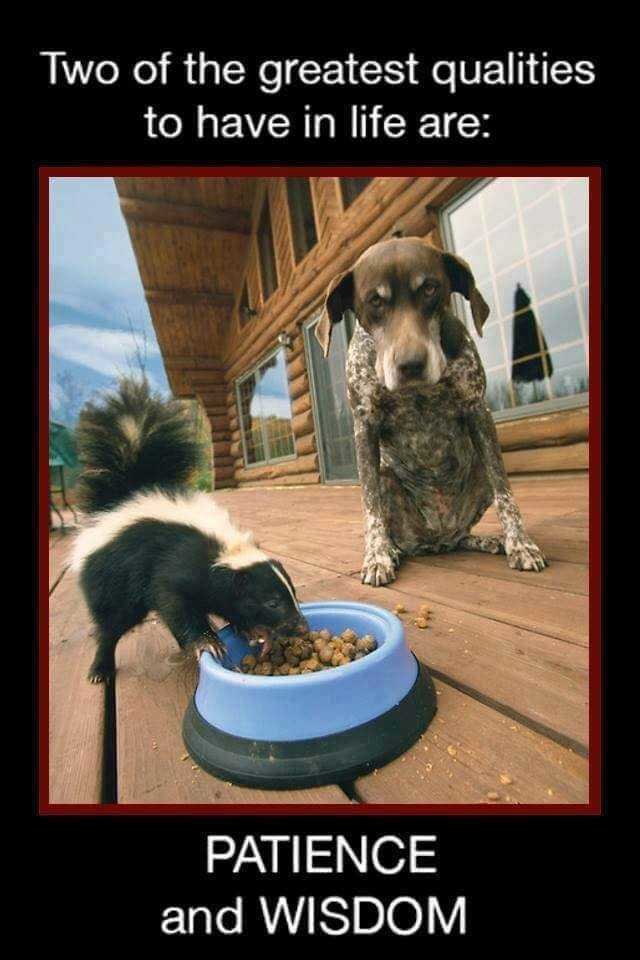 patience.jpg