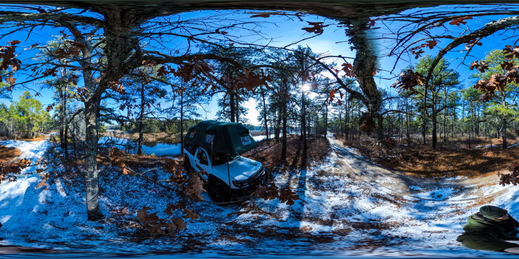 patient the pine-100.jpg