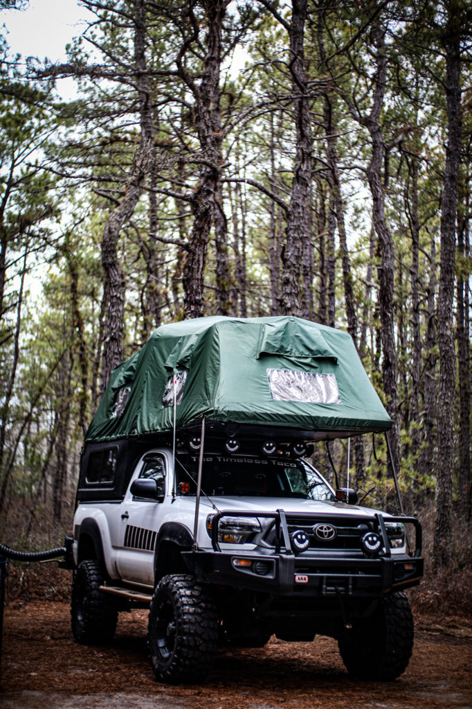 patient the pine-43.jpg