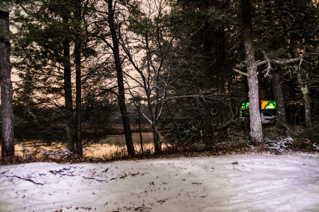 patient the pine-66.jpg