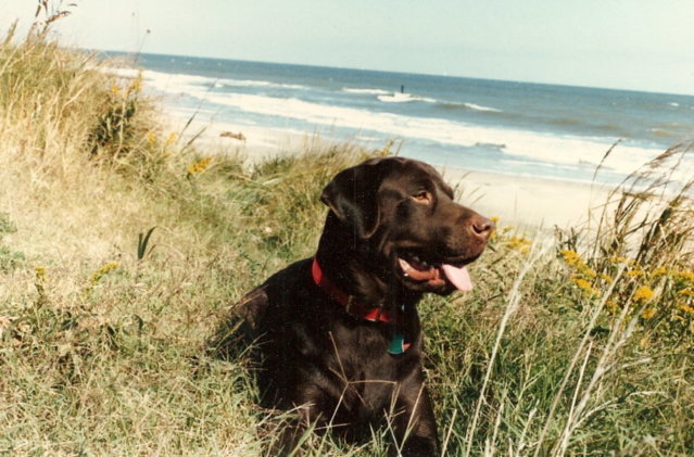 pats pix 049.jpg
