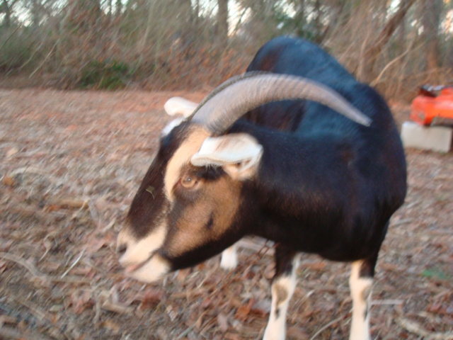 pats pix 075.jpg