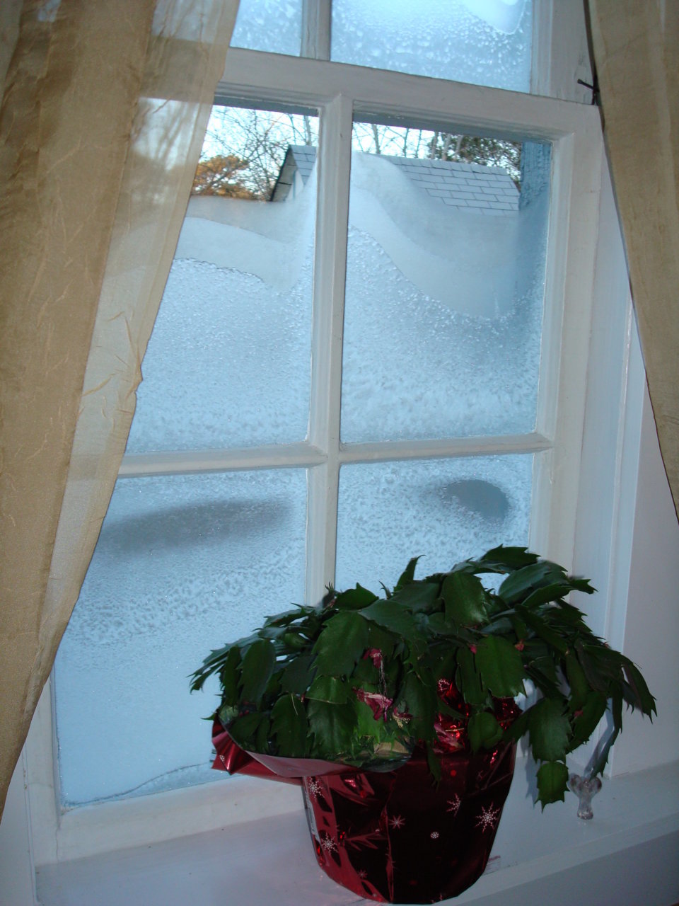 pats pix 076.jpg