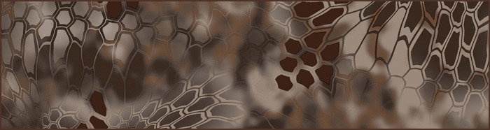 pattern-banshee_zpsta6njkzs_19b57989fa50c0725790c387c29732b154d97f33.jpg