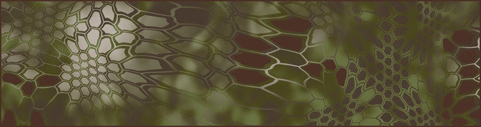 pattern-mandrake_zpswtjqaf5h_8b656dd40144eef7731cf1e007a50a00a5d601ab.jpg