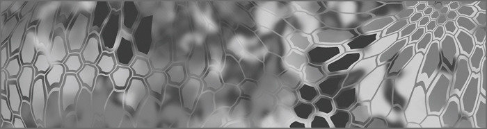 pattern-raid_zpsq89r8bl8_74a6e84eec9dffd72b50ad2863e29b33ec91791f.jpg