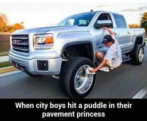 pavement princess.jpg