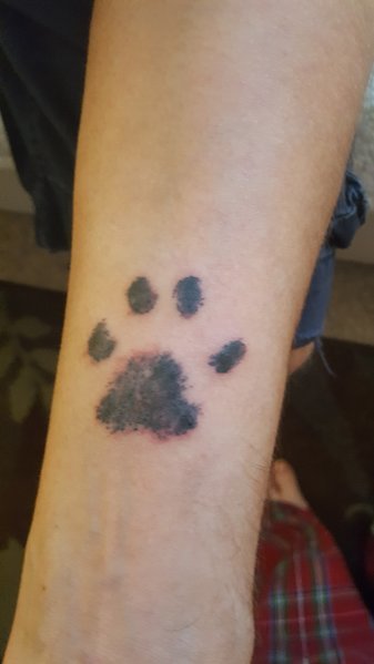 pawprint.jpg