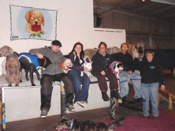 pawscrew_ae251fabcda97d9074eb59e027dc6fe06ac0a947.jpg