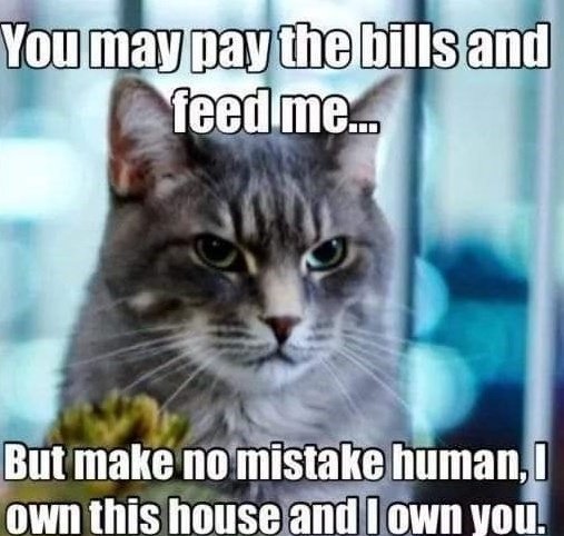 pay-the-bills.jpg