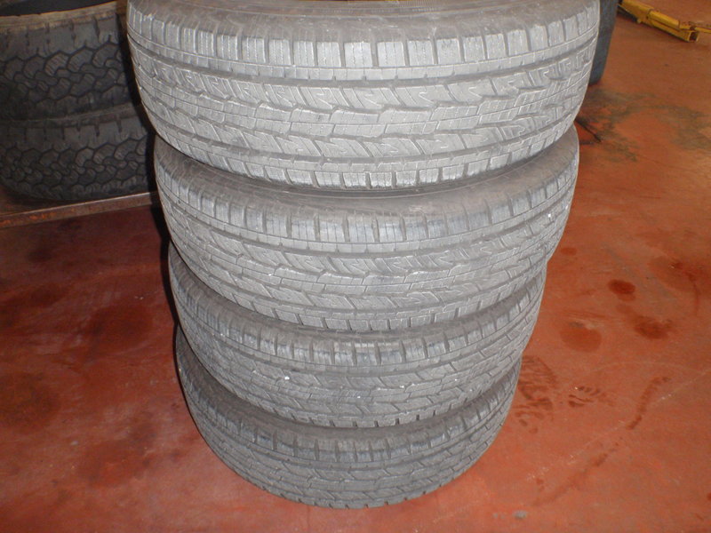 PB031078.jpg