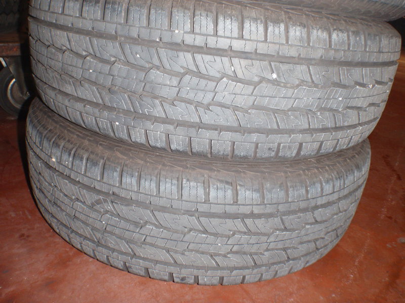 PB031081.jpg