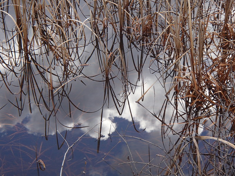 PB140437.jpg