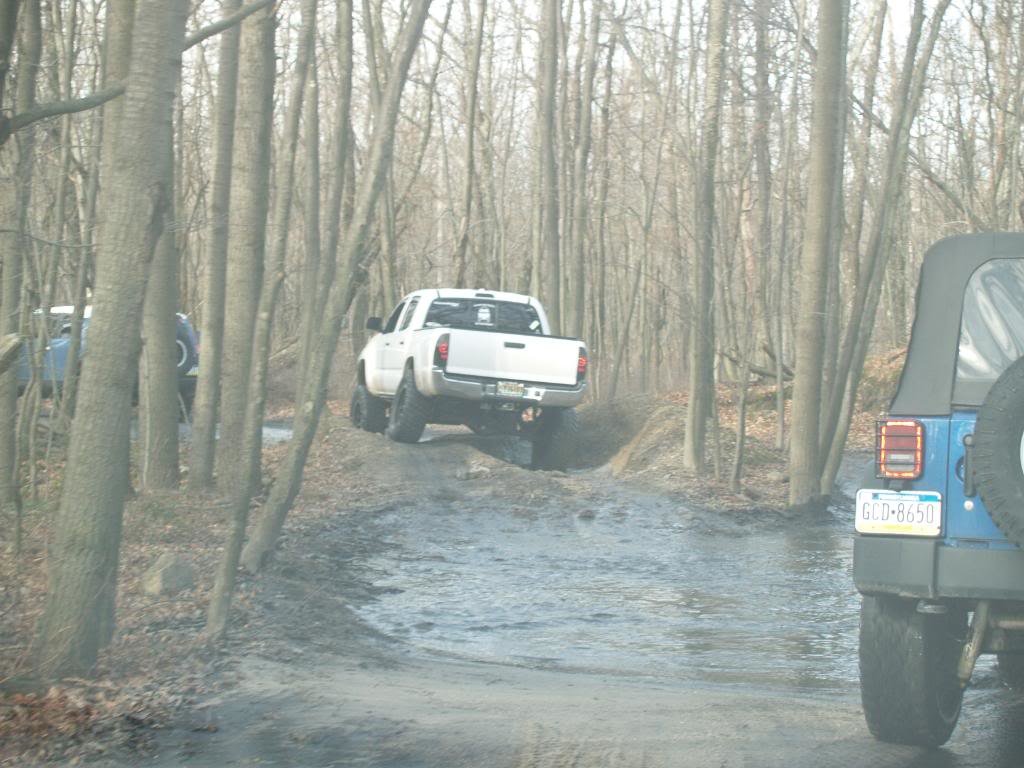 PB265833_8f42c062c9b81661ff7edc1b98dcd6f87f878005.jpg