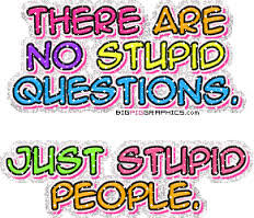pc1_funny_quotes_stupid_35076c19c95d132107e18fd7a3988f775d689585.jpg