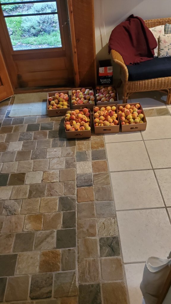 peaches.jpg