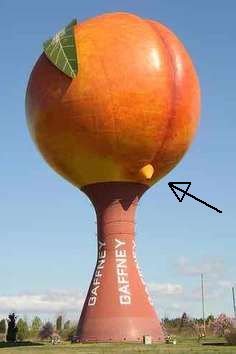 peachoida.jpg