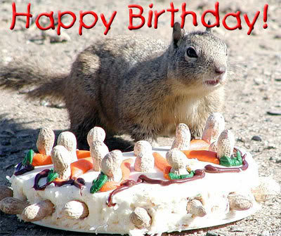 PeanutCake_8cd2db8ba241127267424bd924f93176974a6d28.jpg