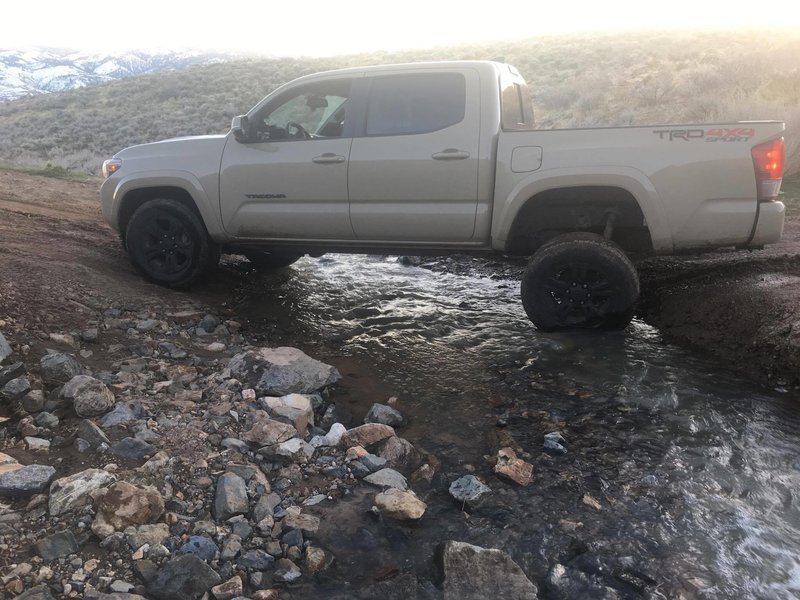 Peavine.jpg