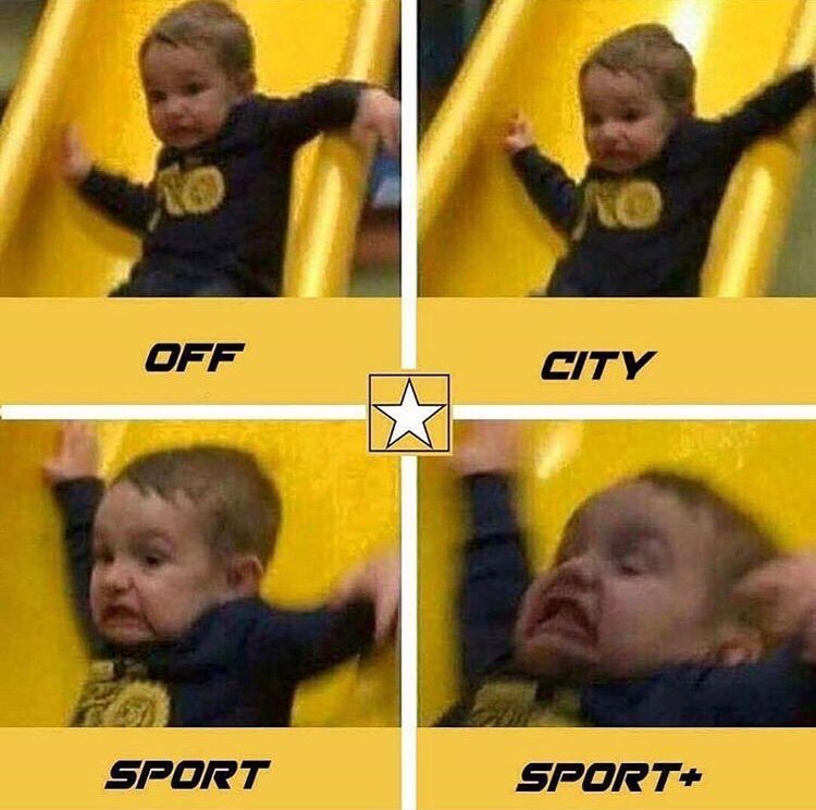 Pedal commander meme.jpg