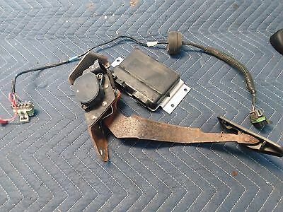 pedal.jpg