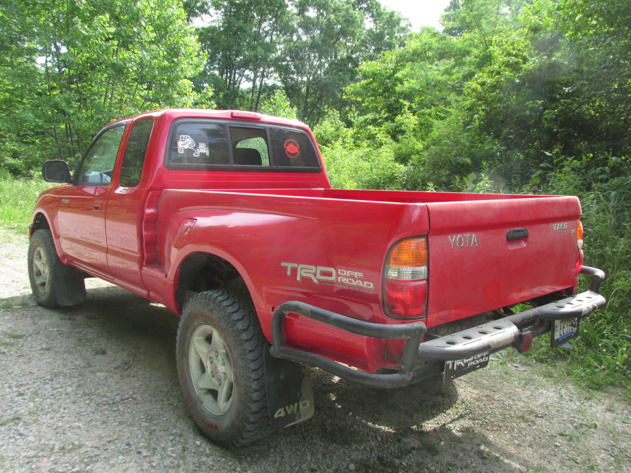 peeing yota.jpg