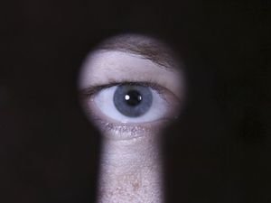PeepingTomResize_fct523x392x261.0x10.0_ct300x225.jpg