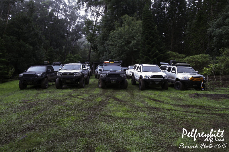 Pelfreybilt 2015.jpg
