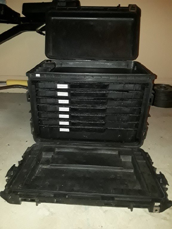 Pelican 2.jpg